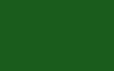 VERDE PINE